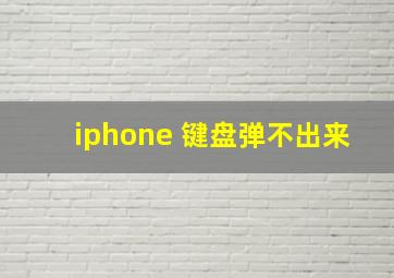 iphone 键盘弹不出来